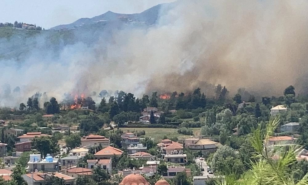 Μεγάλη φωτιά στη Σταμάτα Αττικής κοντά σε κατοικίες: Επιστρατεύτηκαν εναέρια μέσα